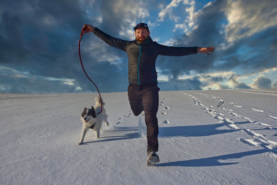 Photo dog running sport outdoor - Veres Szilard / Pexels