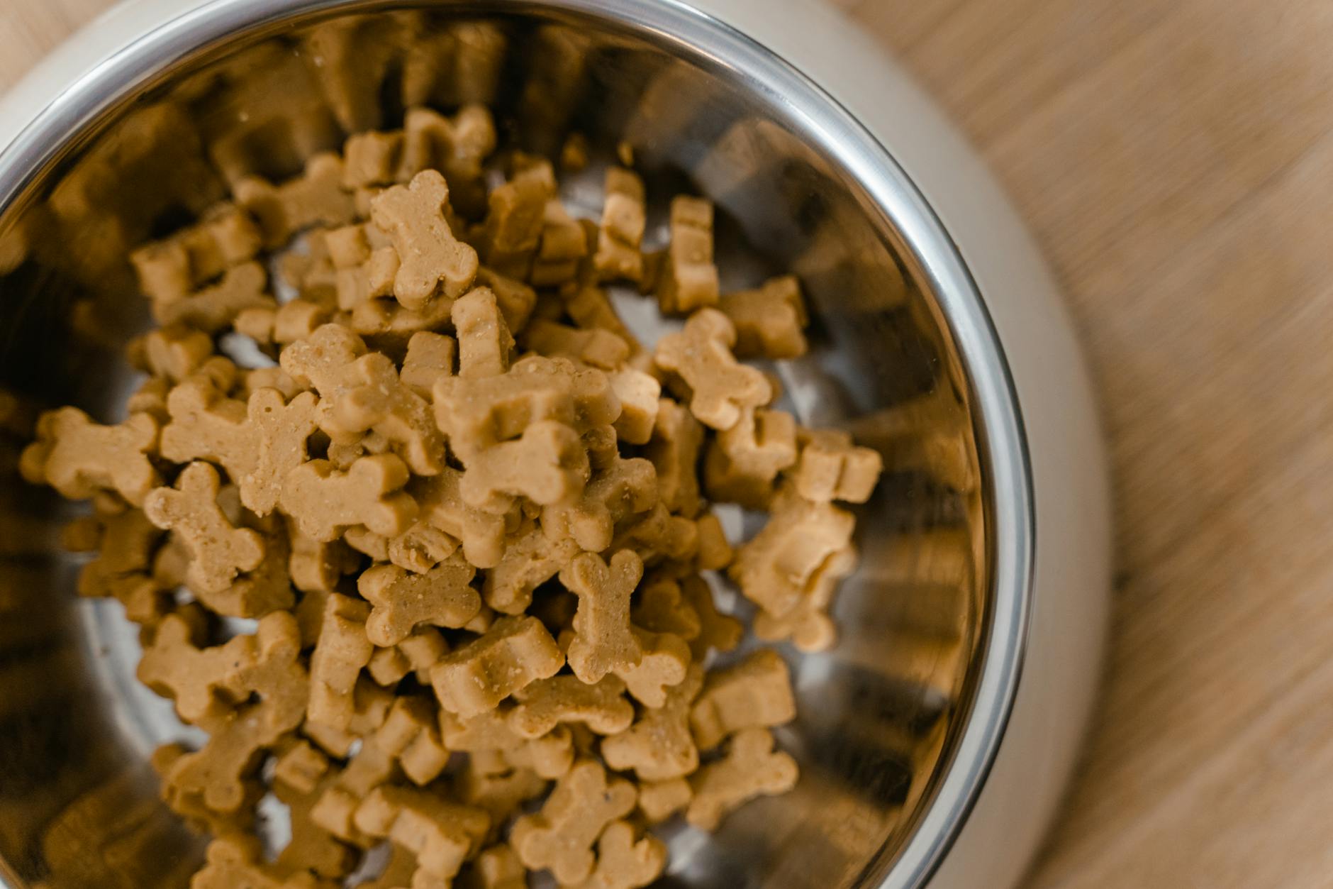 Raw feeding : le guide complet pour nourrir son chien naturellement en 2026